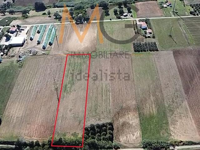 Terreno in vendita di 8830 m² in Contrada Marozza