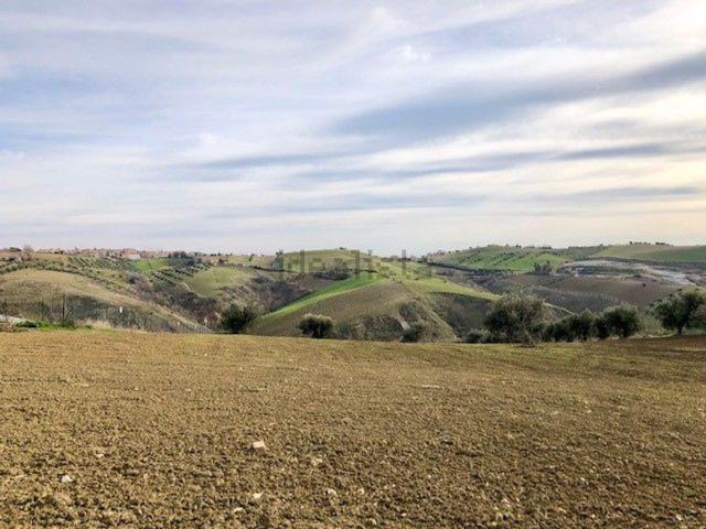 Terreno in vendita di 8830 m² in Contrada Collepietro