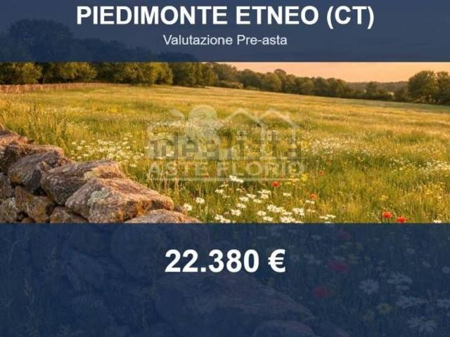 Terreno in vendita di 8963 m² in Via Castagneto Vecchio