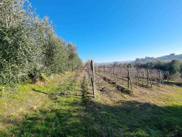 Terreno in vendita di 8900 m² in Strada Provinciale Lauretana