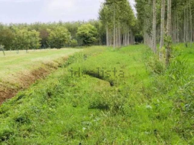 Terreno in vendita di 8910 m² in Via Torat