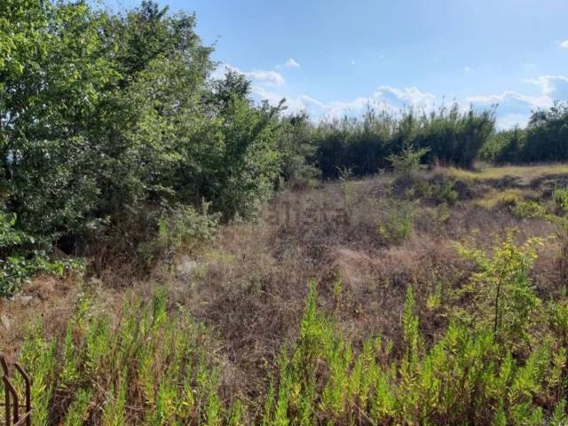 Terreno in vendita di 9043 m² in Via Molise