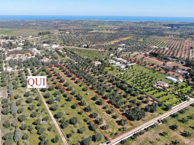 Terreno in vendita di 9042 m² in Contrada Colombo