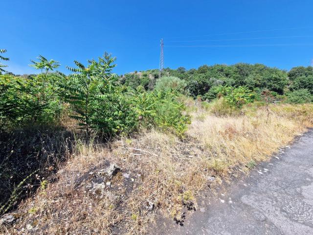 Terreno in vendita di 9073 m² in Località Presa