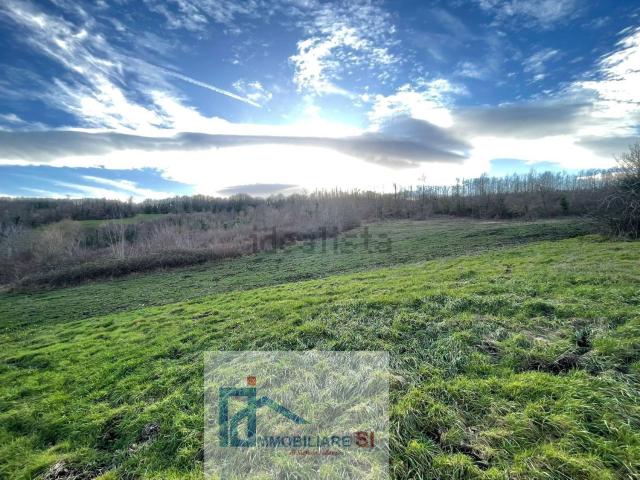 Terreno in vendita di 90000 m²