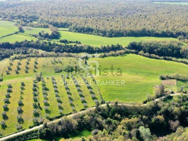 Terreno in vendita di 90000 m² in Via Caporossi Peleo