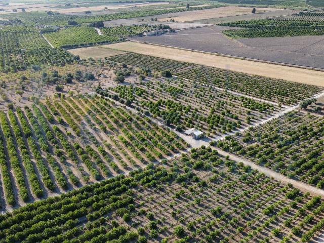 Terreno in vendita di 90000 m² in Via Tommaso Fazello, 228