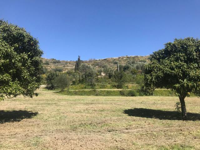 Terreno in vendita di 9000 m² in Contrada Osciro