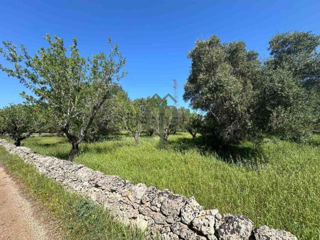 Terreno in vendita di 9000 m² in Contrada Padalino
