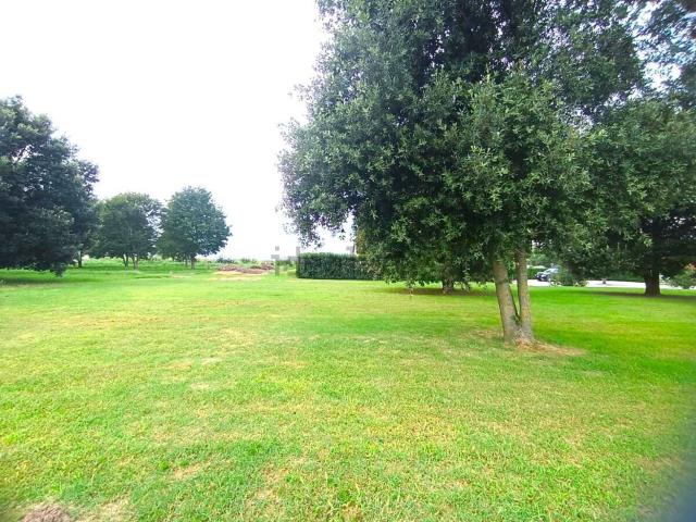 Terreno in vendita di 9000 m² in Località Cà Venier