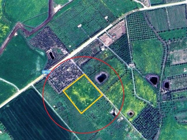 Terreno in vendita di 9000 m² in Strada Provinciale 102i