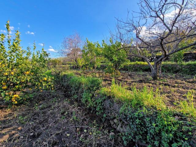 Terreno in vendita di 9000 m² in Via Cisternazza