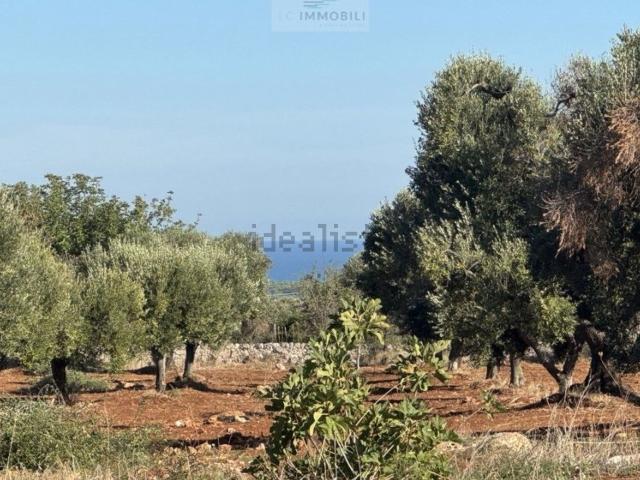 Terreno in vendita di 9000 m² in Via del mare