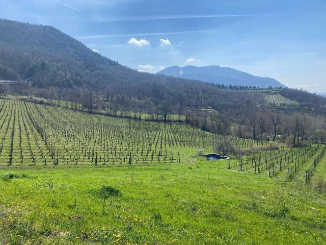 Terreno in vendita di 9000 m² in Via Melfi