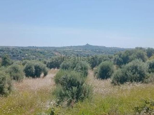 Terreno in vendita di 9000 m²