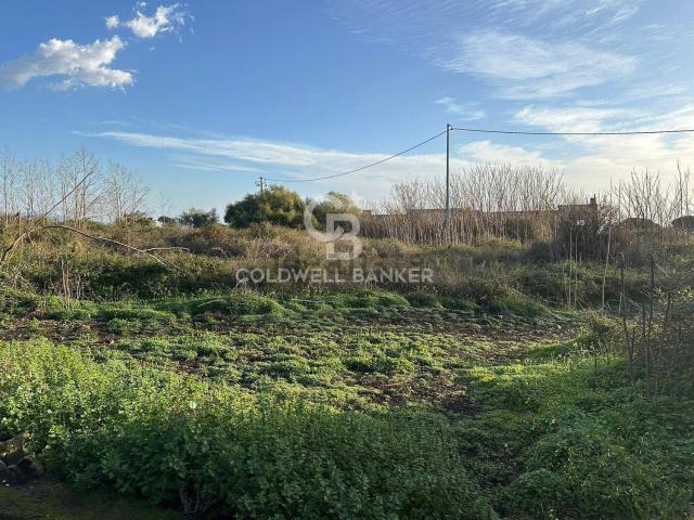 Terreno in vendita di 9000 m²