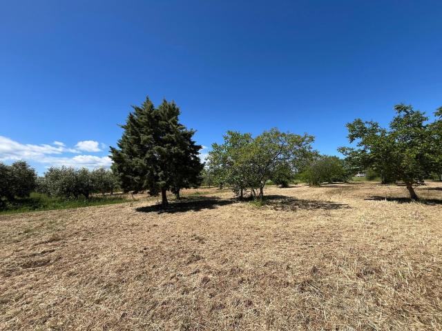 Terreno in vendita di 900 m² in Contrada Colle Pagano