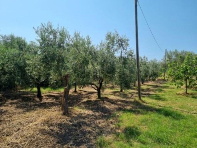 Terreno in vendita di 900 m² in Via Cerreto, 4