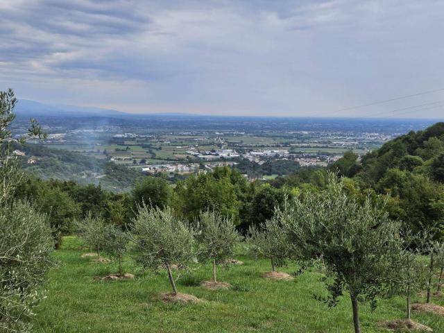 Terreno in vendita di 902 m² in Via Torre