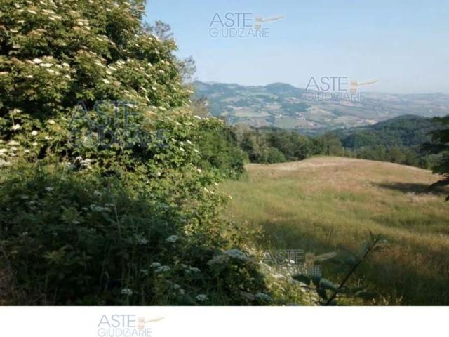 Terreno in vendita di 91609 m² in Località Casa Basilio