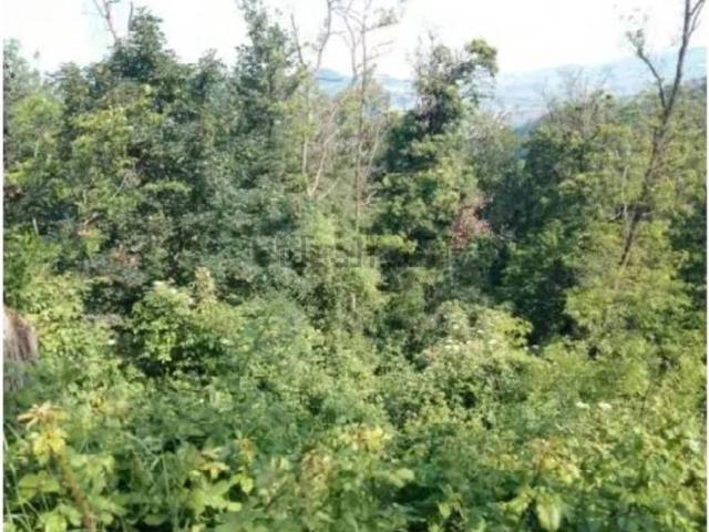 Terreno in vendita di 91609 m² in Strada Senza Nome
