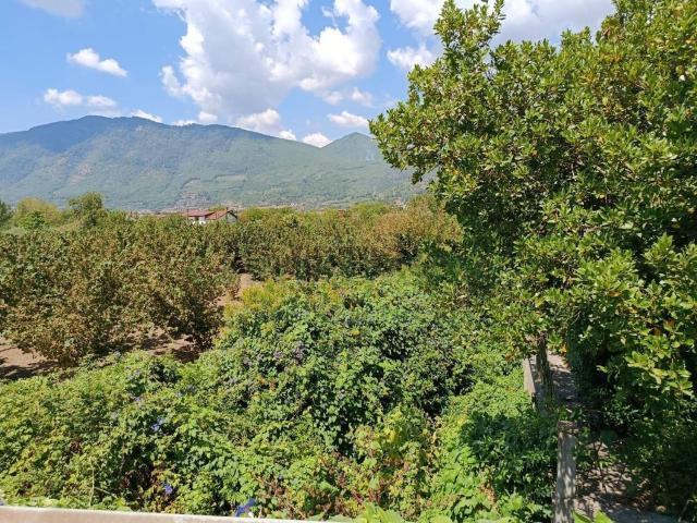 Terreno in vendita di 9100 m² in Strada Provinciale 104