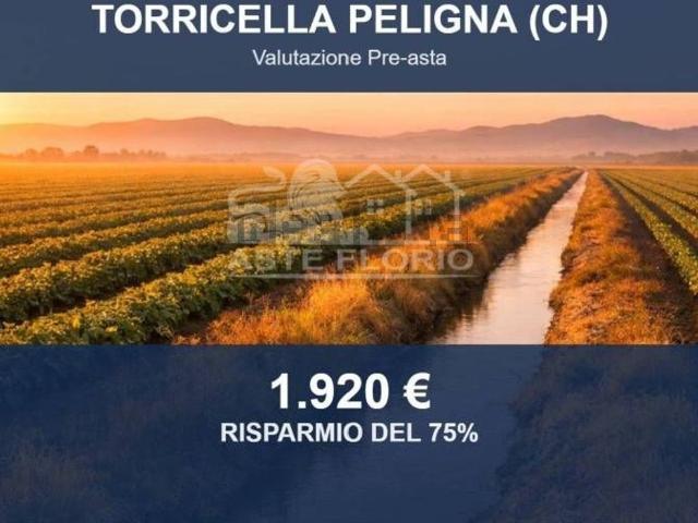 Terreno in vendita di 9105 m² in Via Peligna