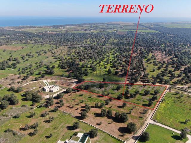 Terreno in vendita di 9125 m² in Contrada Bufalaria