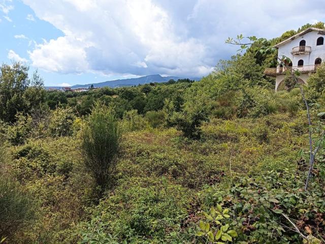 Terreno in vendita di 9251 m² in Via Trainara