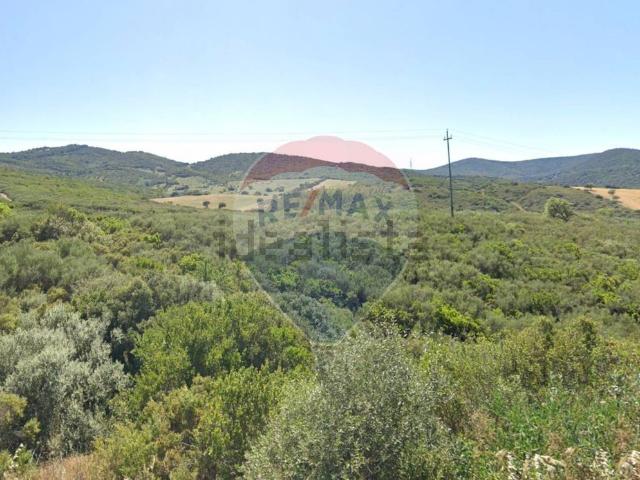 Terreno in vendita di 9370 m² in Strada Provinciale 70