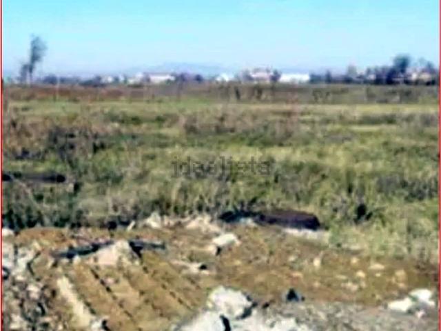 Terreno in vendita di 9372 m² in Via Valter Brunelli
