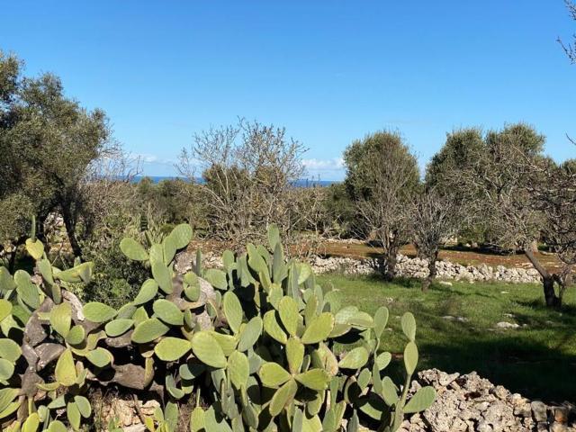 Terreno in vendita di 9384 m² in Contrada Sierri