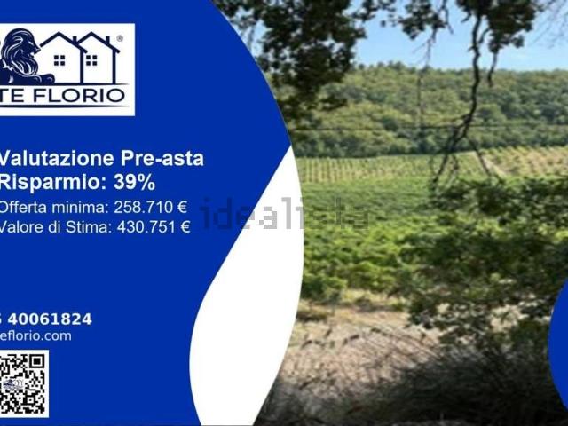 Terreno in vendita di 93361 m² in Contrada Fontursia
