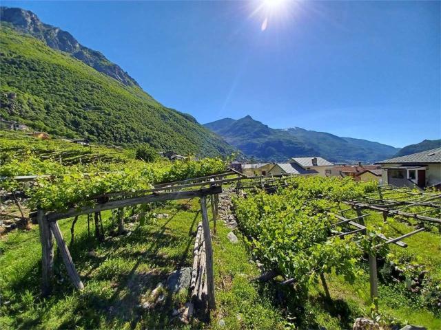 Terreno in vendita di 941 m²