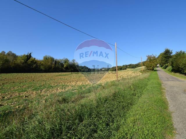 Terreno in vendita di 95000 m² in Strada Vicinale del Cossano, 2