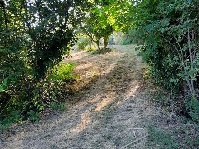 Terreno in vendita di 9500 m² in Contrada Cascini