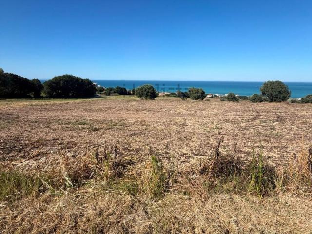 Terreno in vendita di 9500 m² in Strada Castelletta