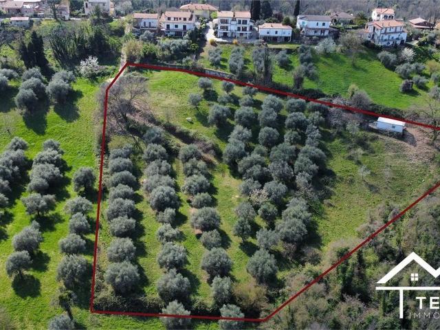 Terreno in vendita di 9500 m² in Via della Croce