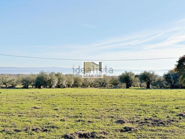 Terreno in vendita di 9500 m²