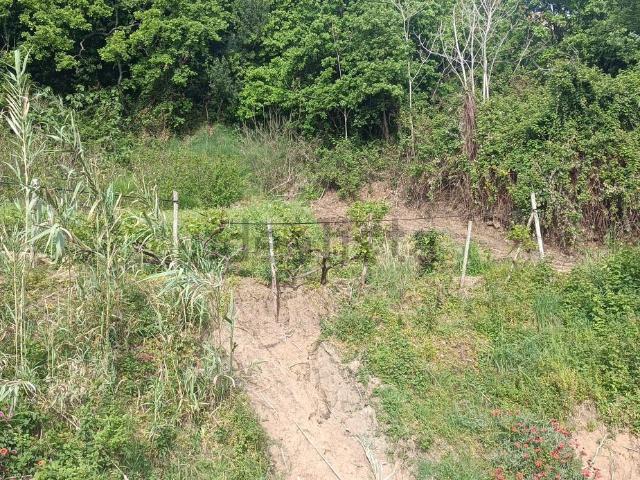 Terreno in vendita di 950 m² in Località Cariglio