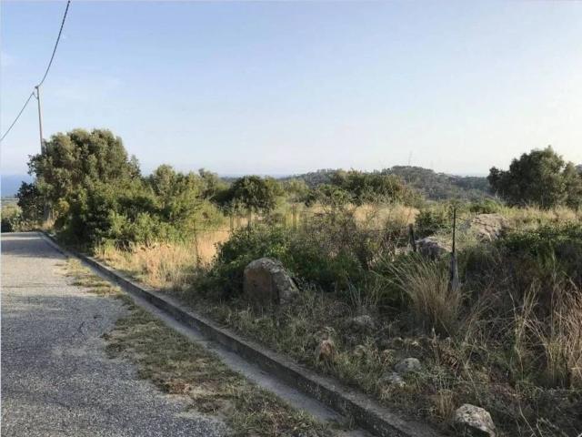 Terreno in vendita di 9530 m² in Strada Provinciale 107