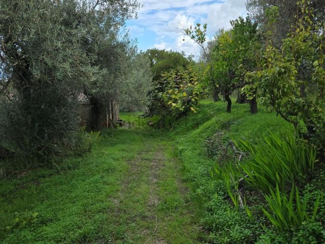 Terreno in vendita di 9650 m² in Via Pace Giammoro, 100