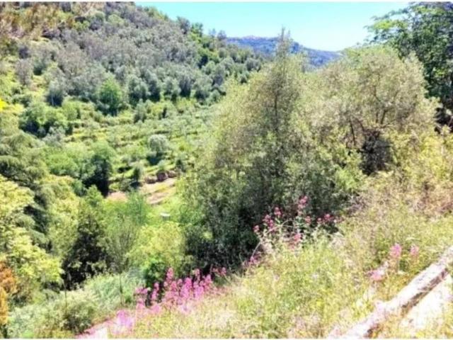 Terreno in vendita di 9660 m² in Strada Provinciale 45