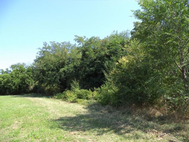 Terreno in vendita di 9690 m² in Via Latina