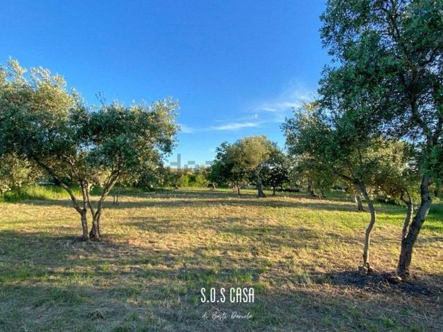Terreno in vendita di 960 m² in Contrada Ripari di Giobbe