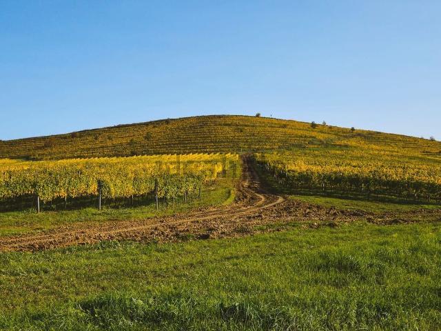 Terreno in vendita di 96219 m² in Via Silvio Pellico