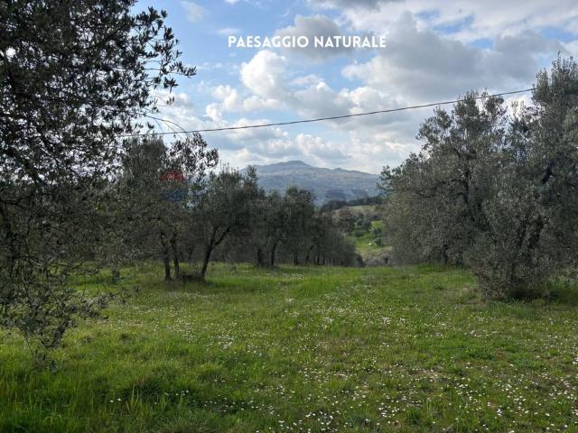 Terreno in vendita di 9740 m² in Località Ponte Bai