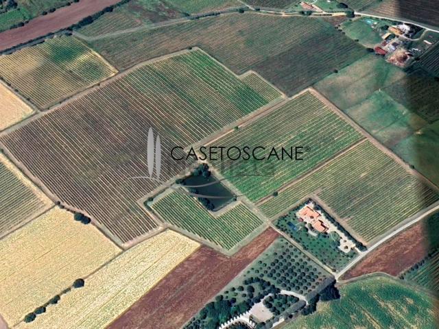 Terreno in vendita di 97000 m² in Vicolo della Costarella
