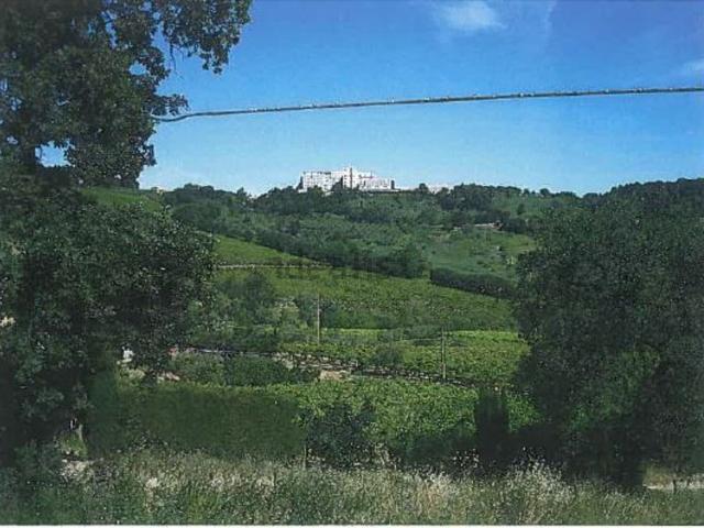 Terreno in vendita di 98955 m² in Strada Villa Obletter