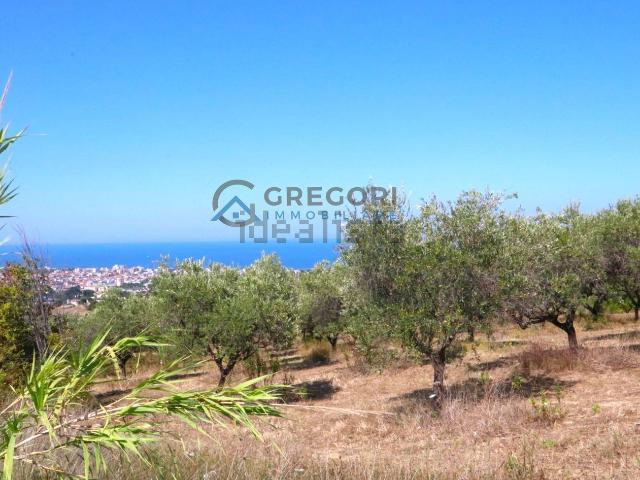Terreno in vendita di 9800 m² in Via Colle Sant&apos Angelo
